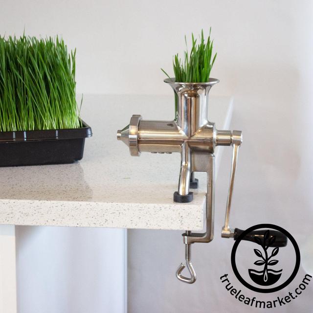 Hurricane Manual Stainless Steel Wheatgrass Juicer