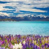 Lake Tekapo