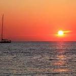 Vineyard Haven