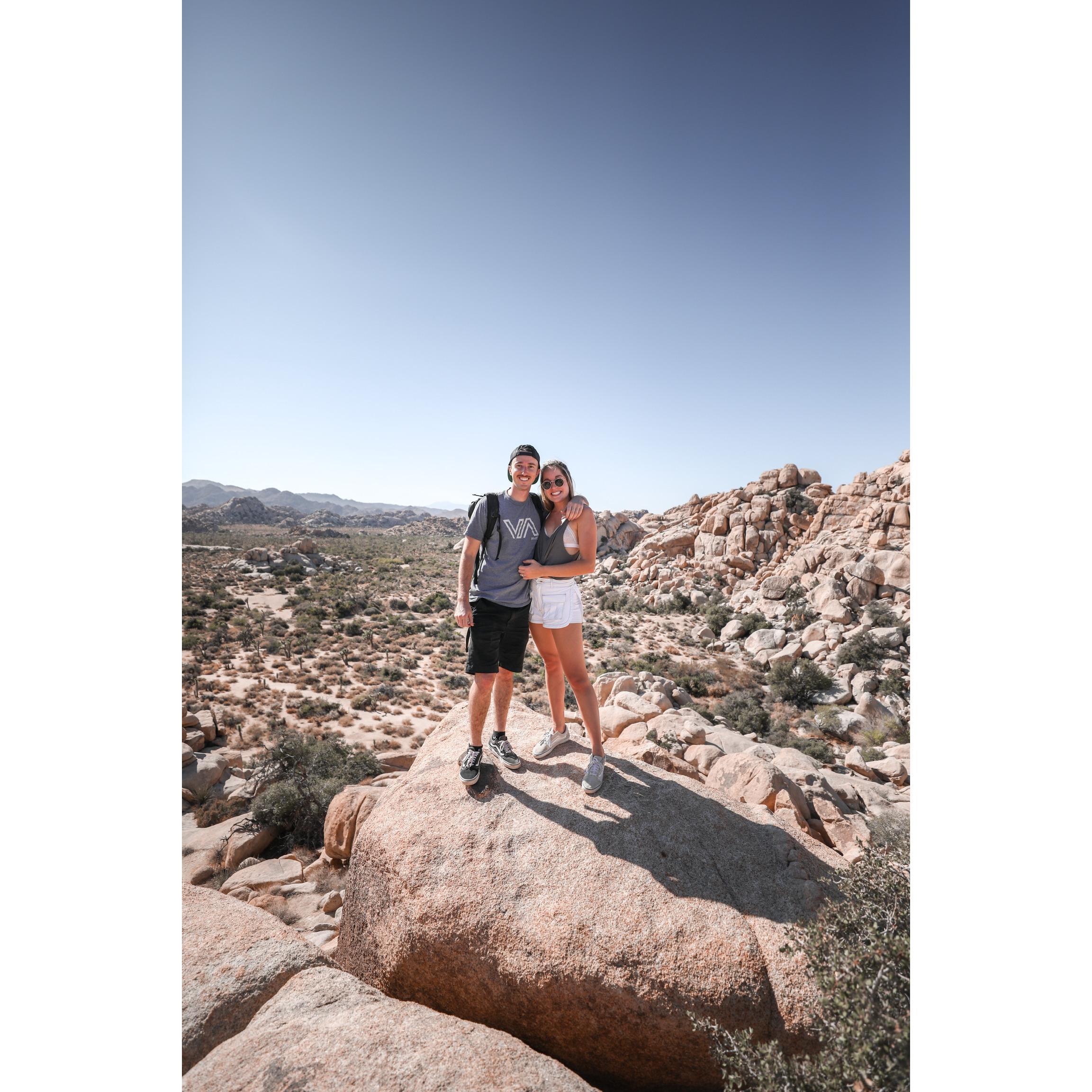 Joshua Tree right after the proposal
