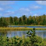 Kettle Moraine State Forest