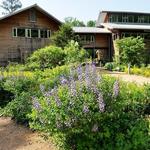 North Carolina Botanical Garden