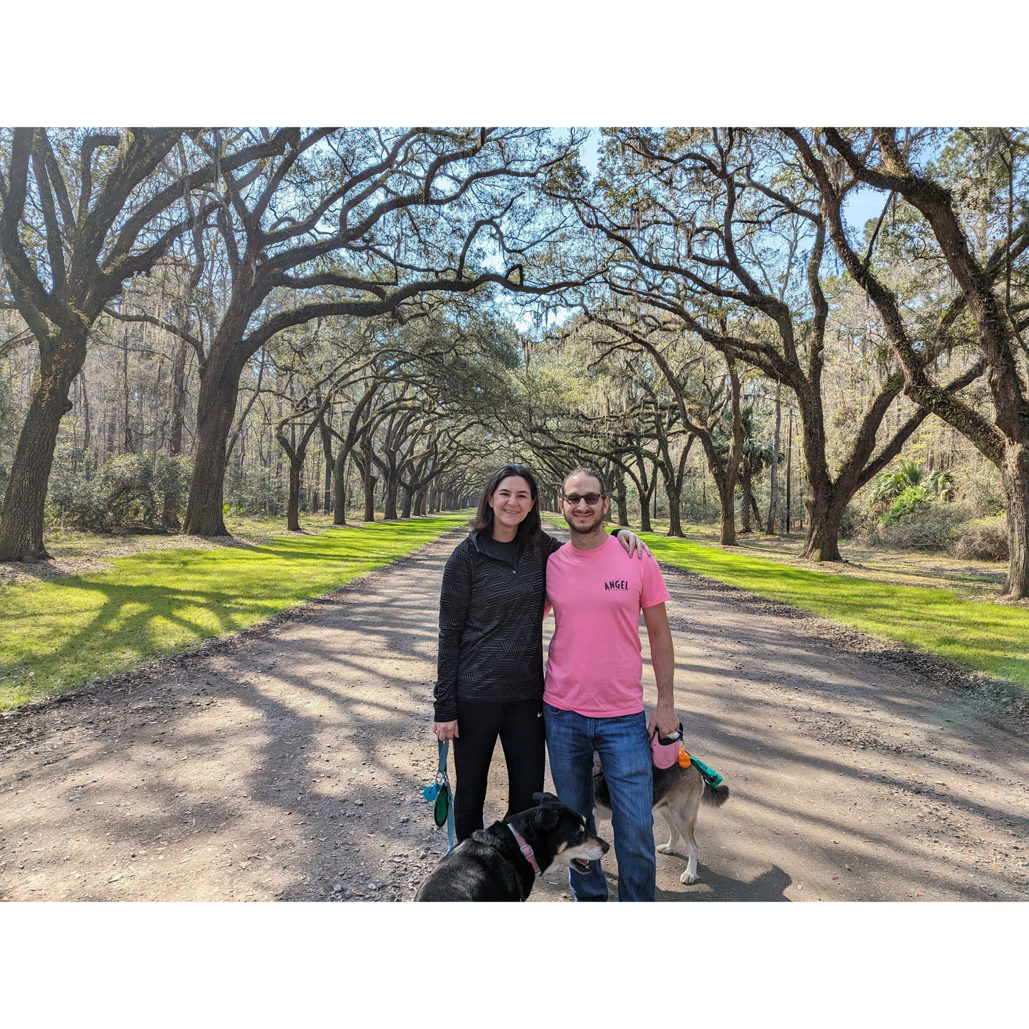 Spring break 2024: Stop at Wormsloe Plantation outside of Savannah, GA