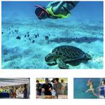 Ocean Surfari Charters