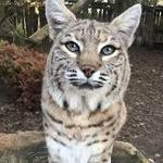 Riverview Park & Zoo