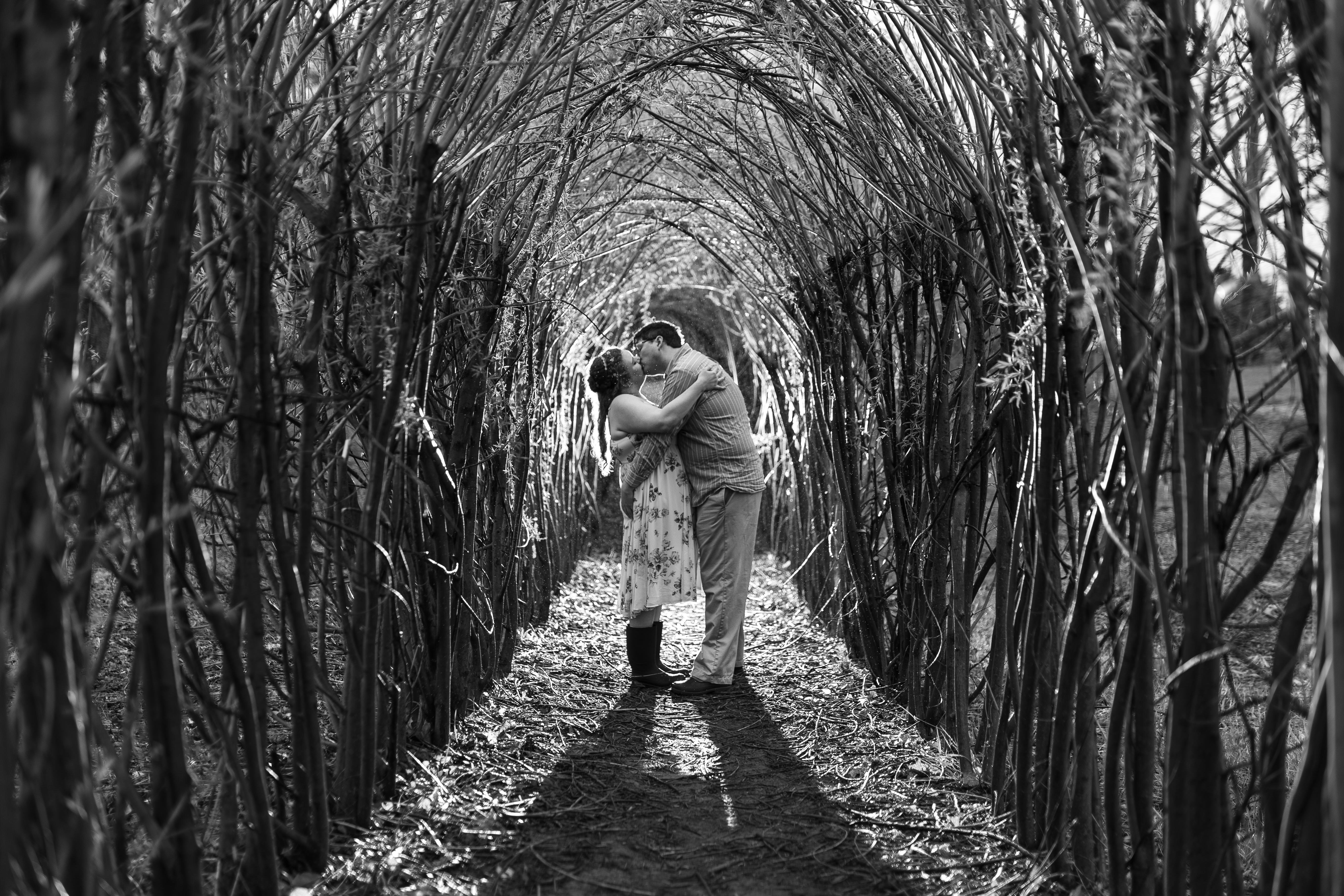The Wedding Website of Sara Connolly and Daniel Roby