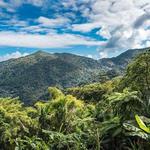 El Yunque National Forest