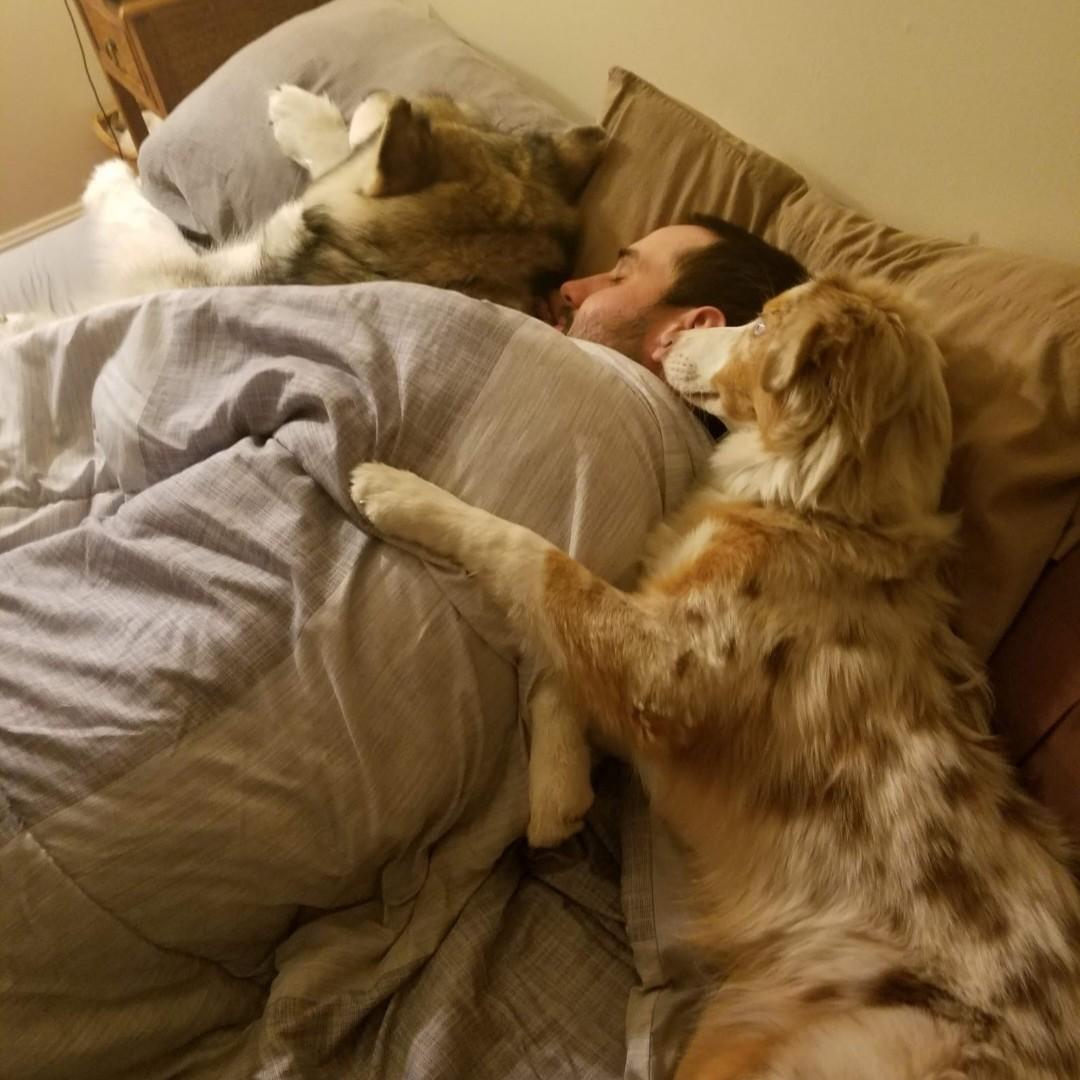 Dave's favorite place in the world...in the middle of a dog sandwich