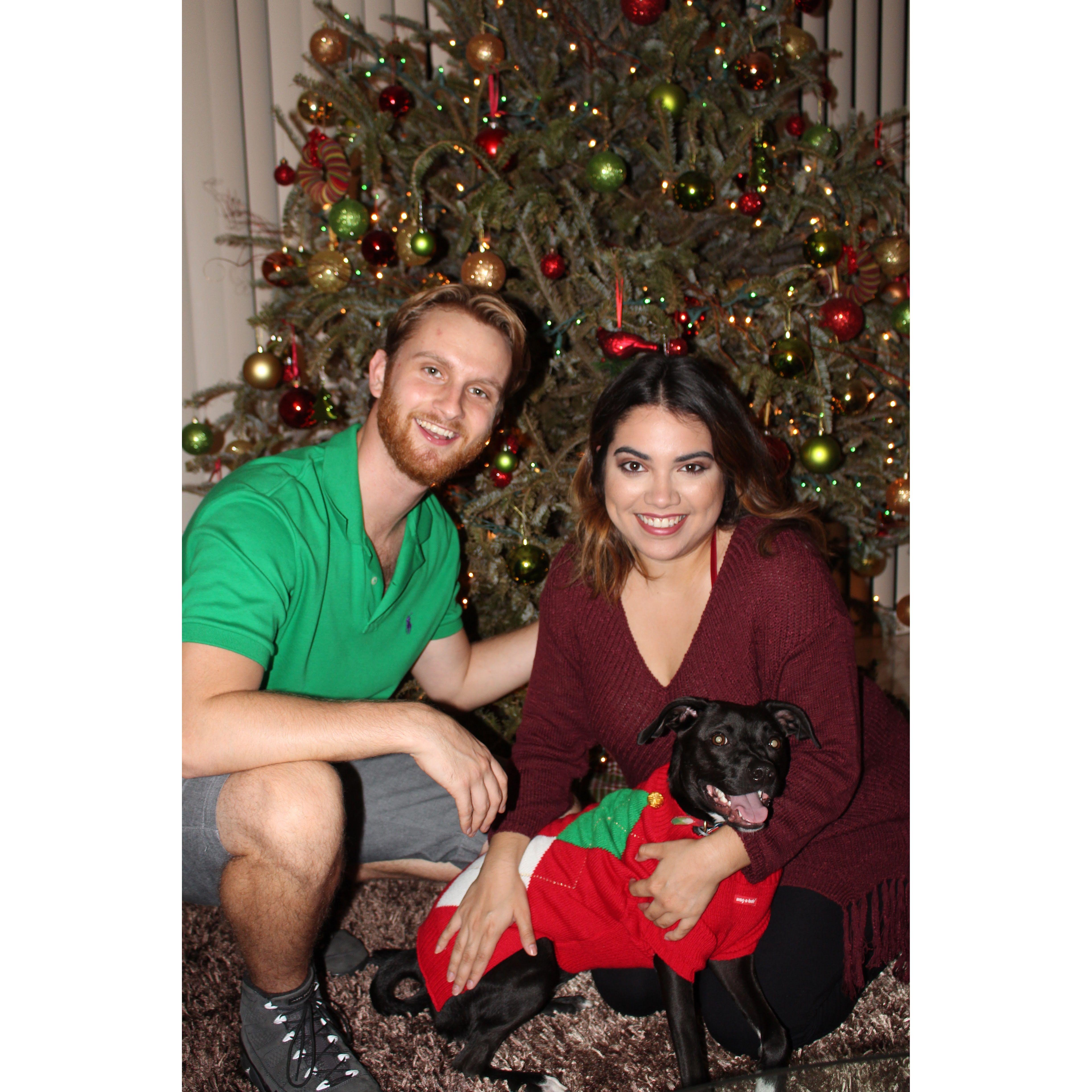 Christmas in 2015 with our pup, Violet Marie Foley.