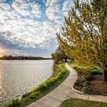 LSU LAKES