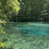 Ichetucknee Springs