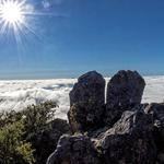 Mount Tamalpais State Park