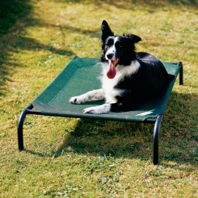 Coolaroo® Steel Frame Pet Bed