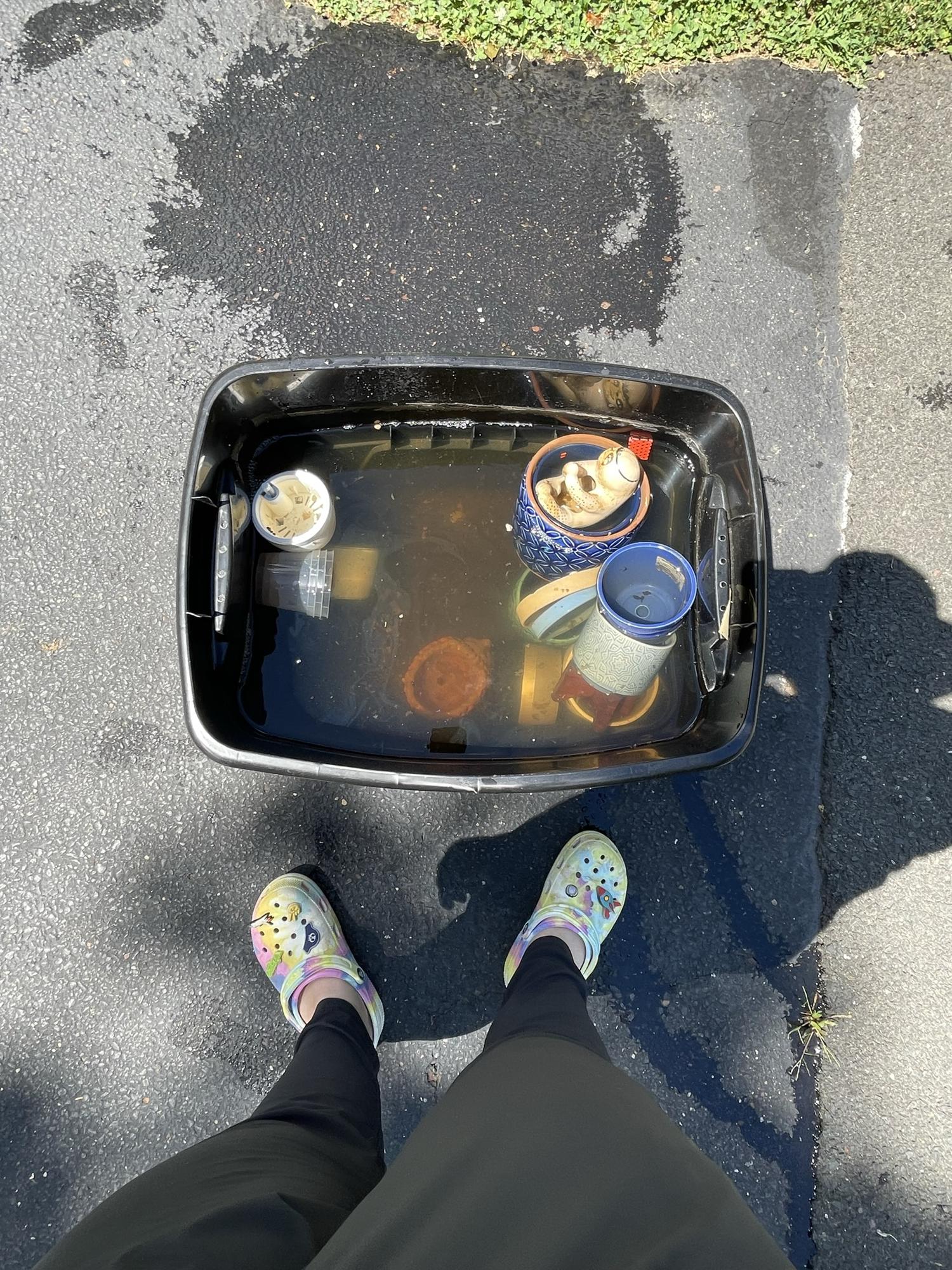 mmmm flood water soup