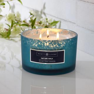 Nature Walk 3-Wick Candle
