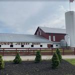 Young's Jersey Dairy
