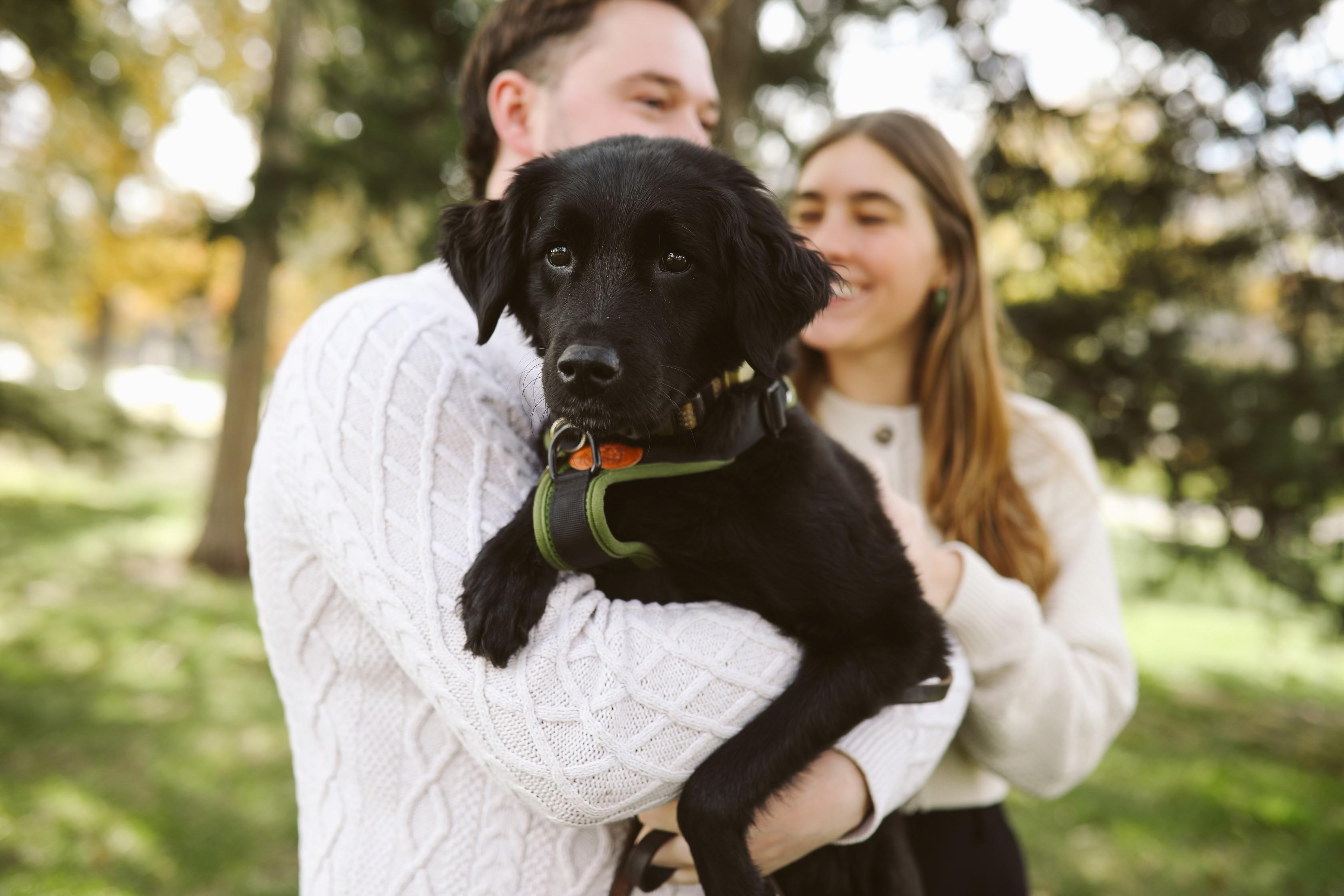 The Wedding Website of Alexandria Calnin and Daniel Hanna