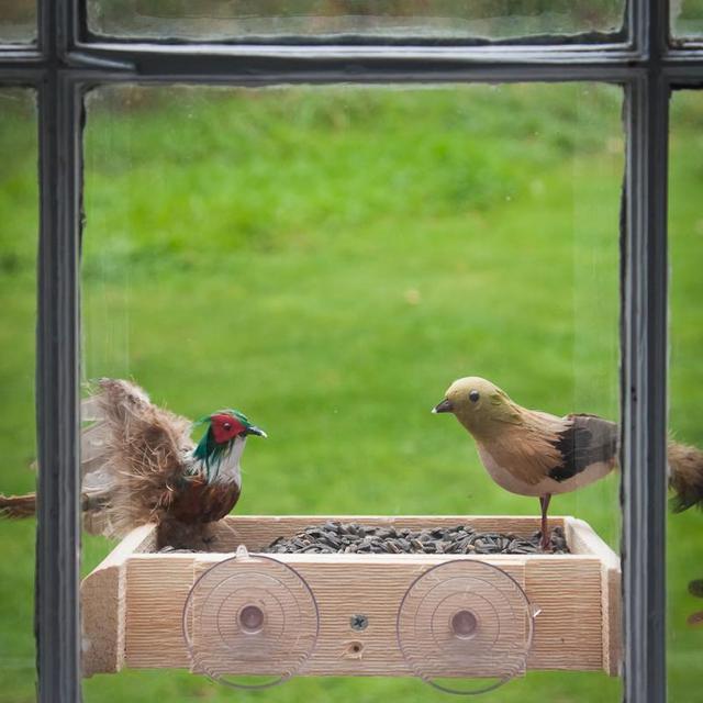 Window Bird Feeder