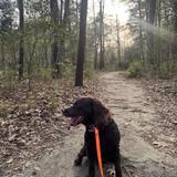 Ashley River Park