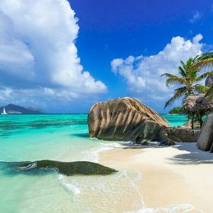 South Africa Safari + Seychelles Honeymoon Fund