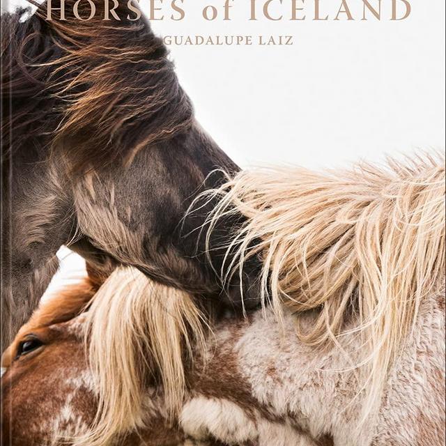 Horses of Iceland