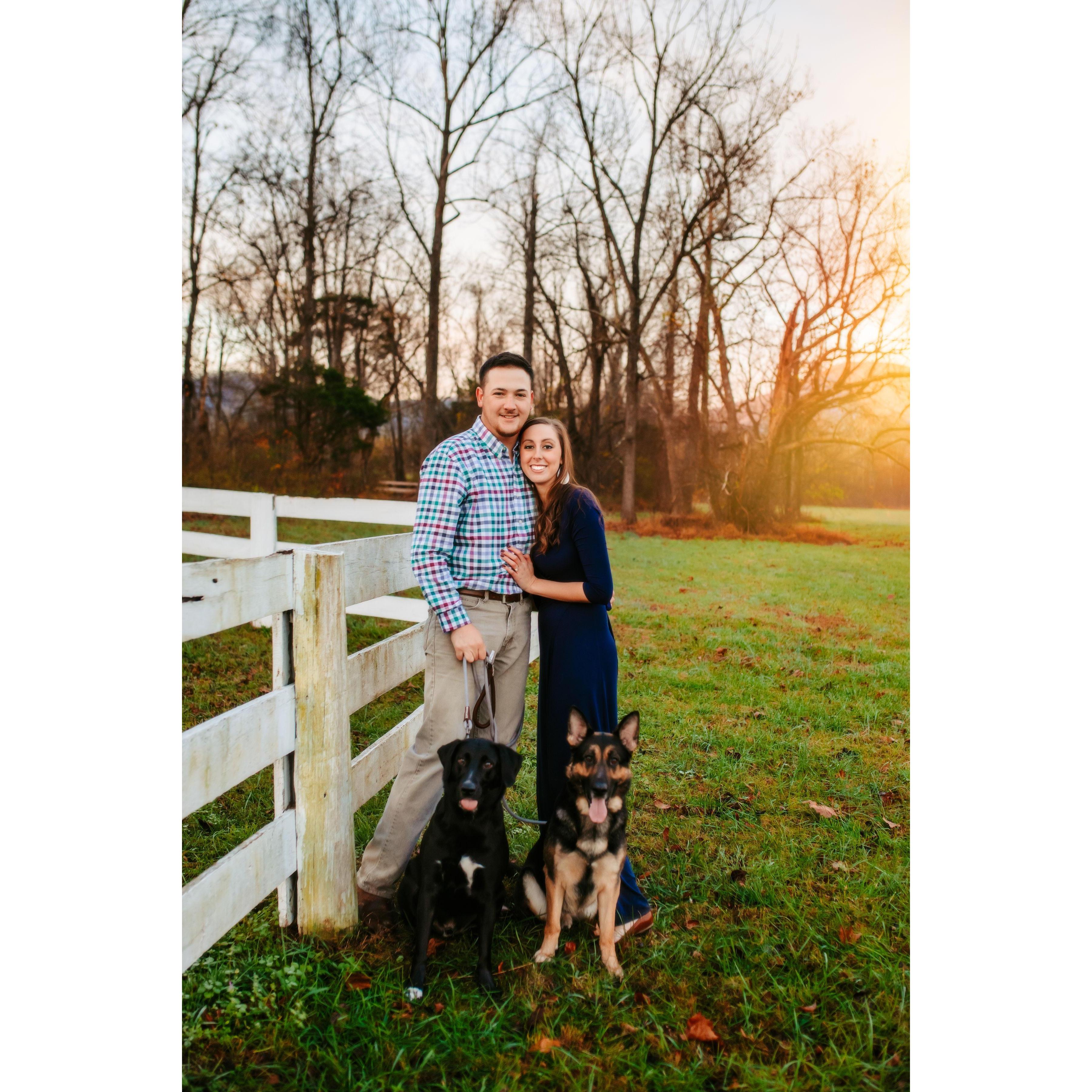 Our boys, Miles (black lab mix) and Axel (German Shepherd)!