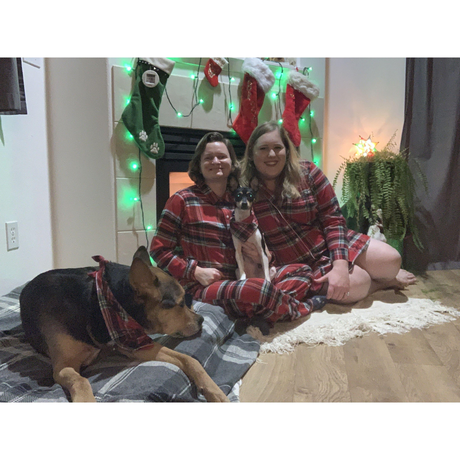 Family Christmas Portrait
