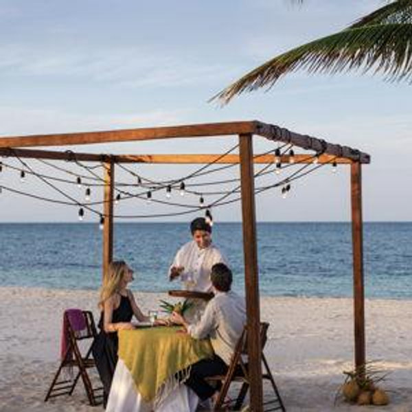 Beach Dinner