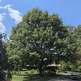 Hornbaker Gardens, Inc.