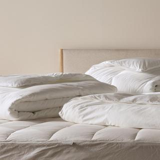 Down Duvet Insert
