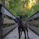 George Rogers Park