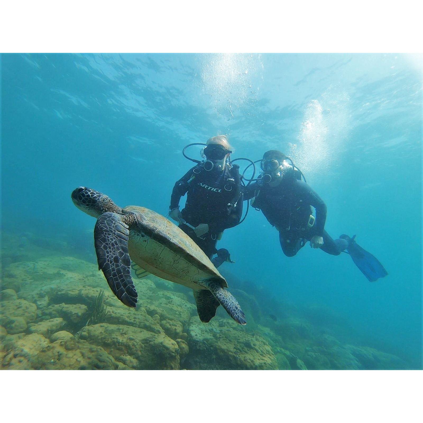 Ilha Grande, Brazil (September 2021)