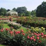 Hershey Gardens