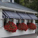 Cove Cafe