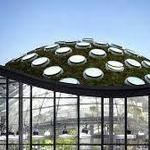 California Academy of Sciences