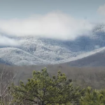 The   North     Carolina     Arboretum