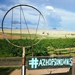 AZ Hops and Vines