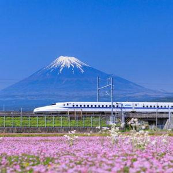 Bullet Train Tickets