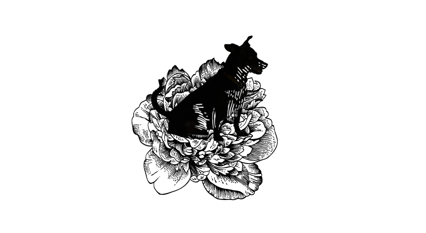Footer image