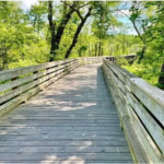 Government Island Park Walking Trails