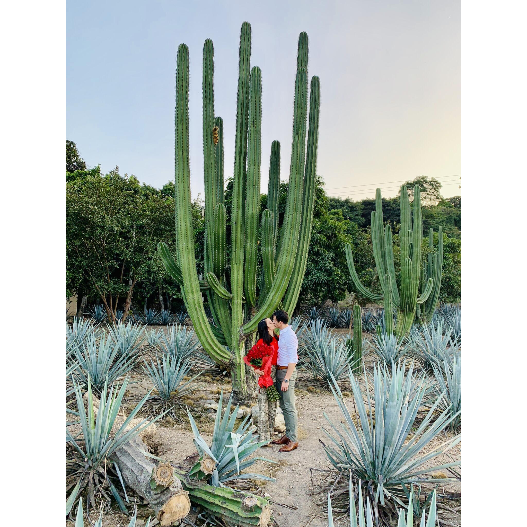 Tequilera Hacienda la Cofradía
Compromiso | Engagement 
12.10.2018