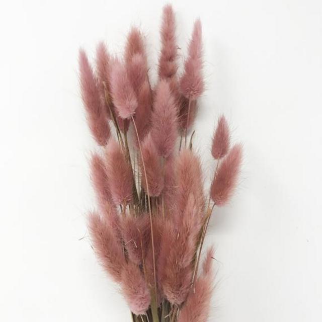 Natural pink / dried flowers, DIY Flower arrangements, stem flower, preserved flowers, dried flower bouquet, real flower, home decor Lagurus
