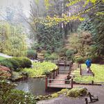 Portland Japanese Garden
