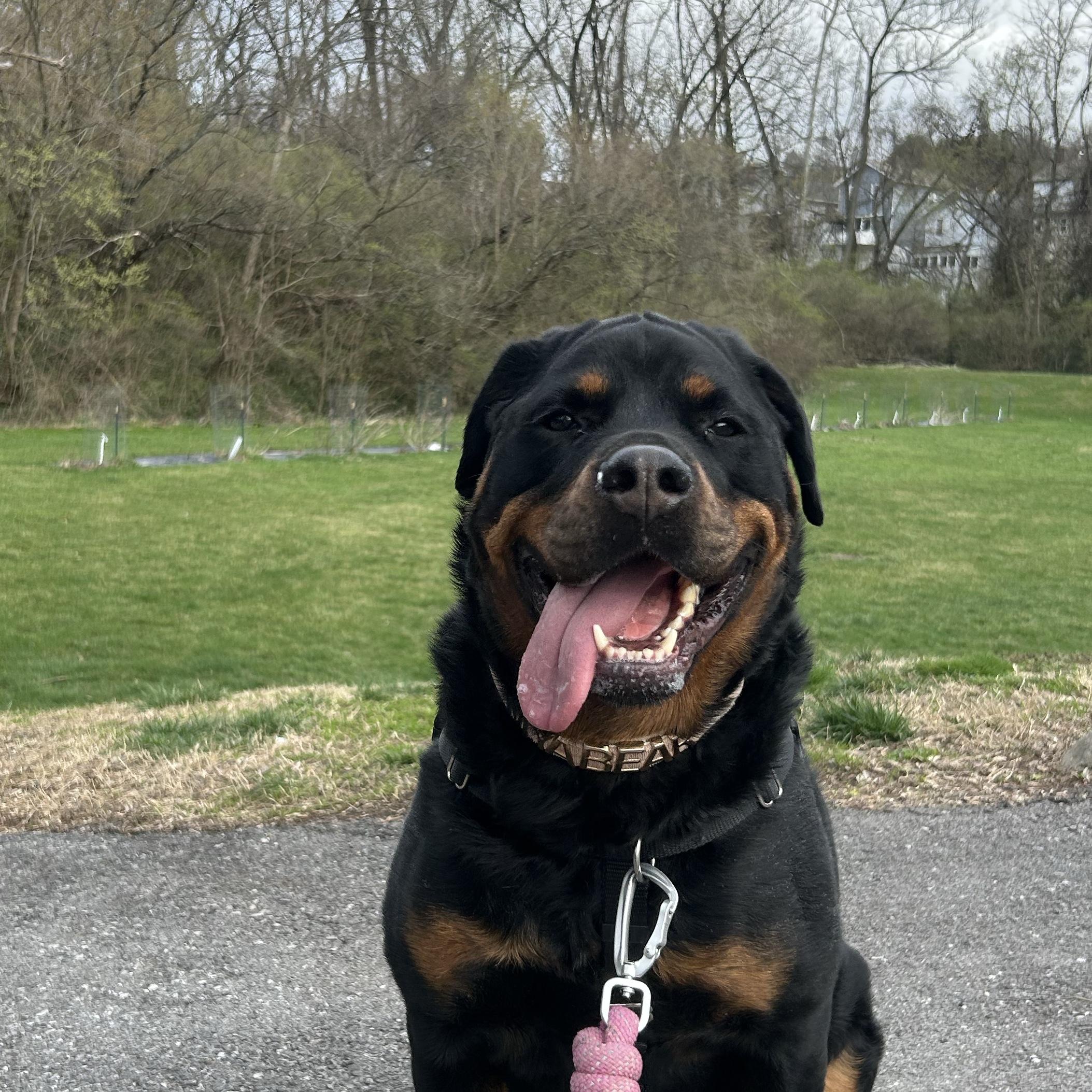 Mya’s Daycare During Wedding (and a bath before coming home!)