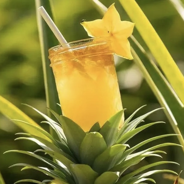 Kauai Rum Safari for Two