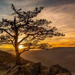 Raven's Roost Overlook