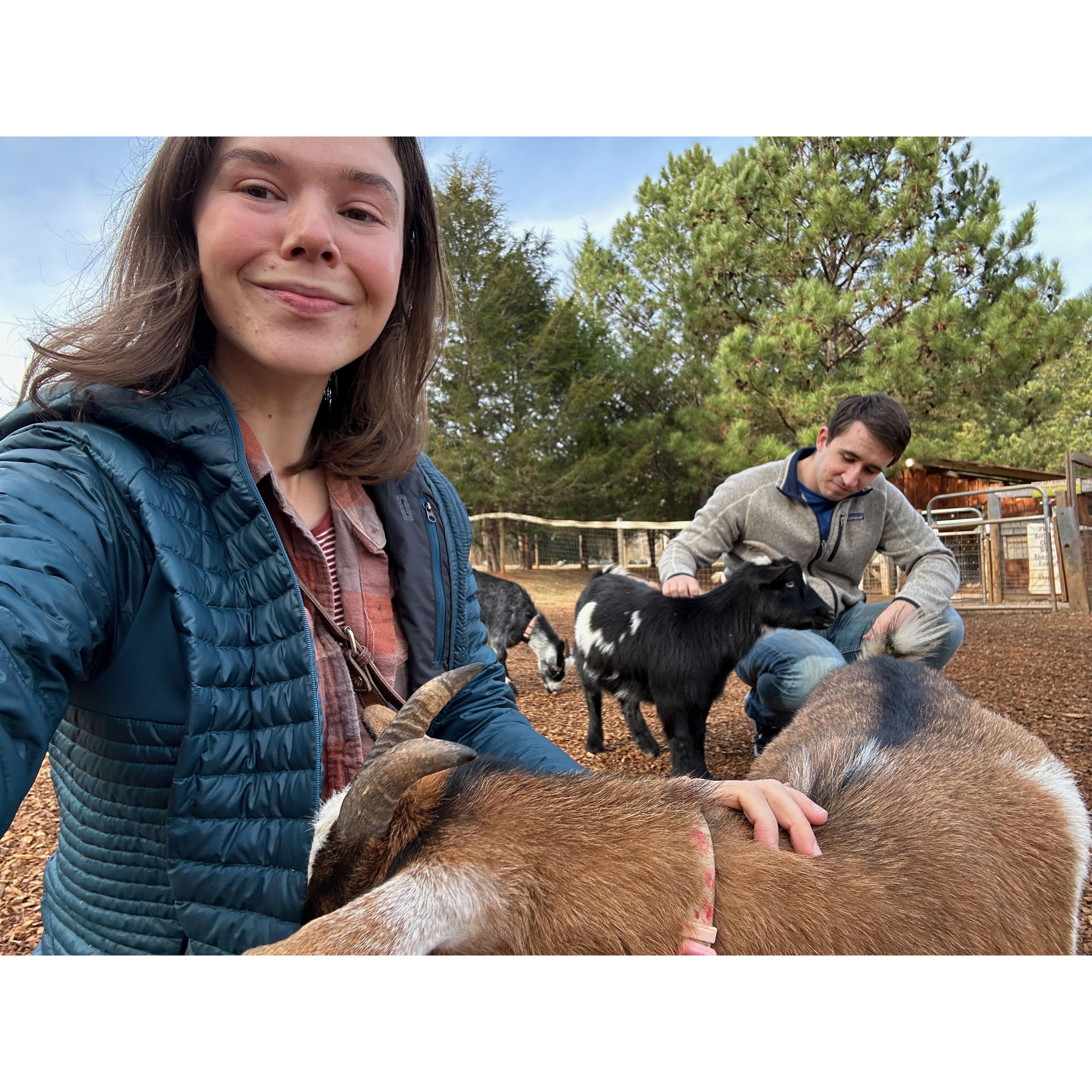 Our favorite date spot in the Triangle - Spring Haven Farm <3