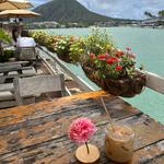 Island Brew Coffeehouse