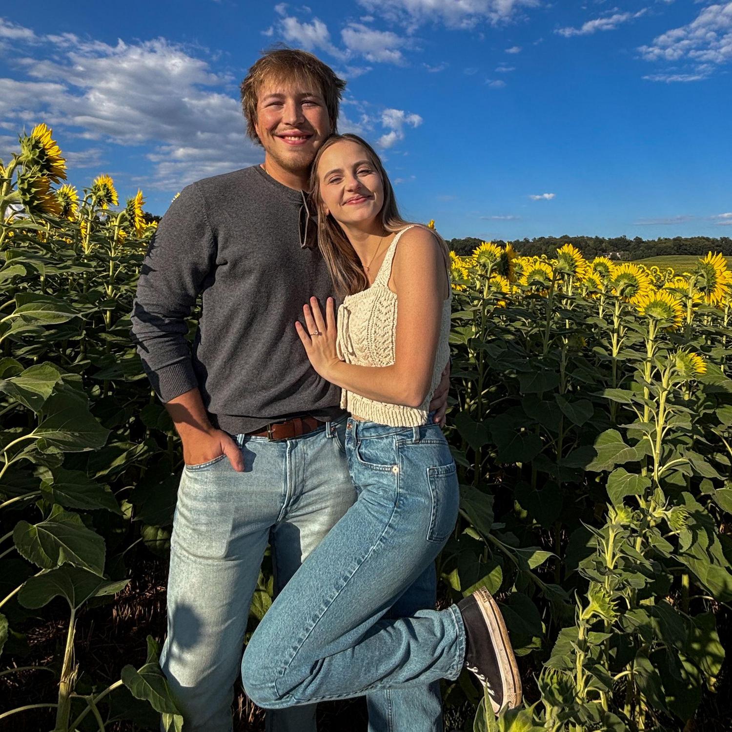 Sunflowers 2025