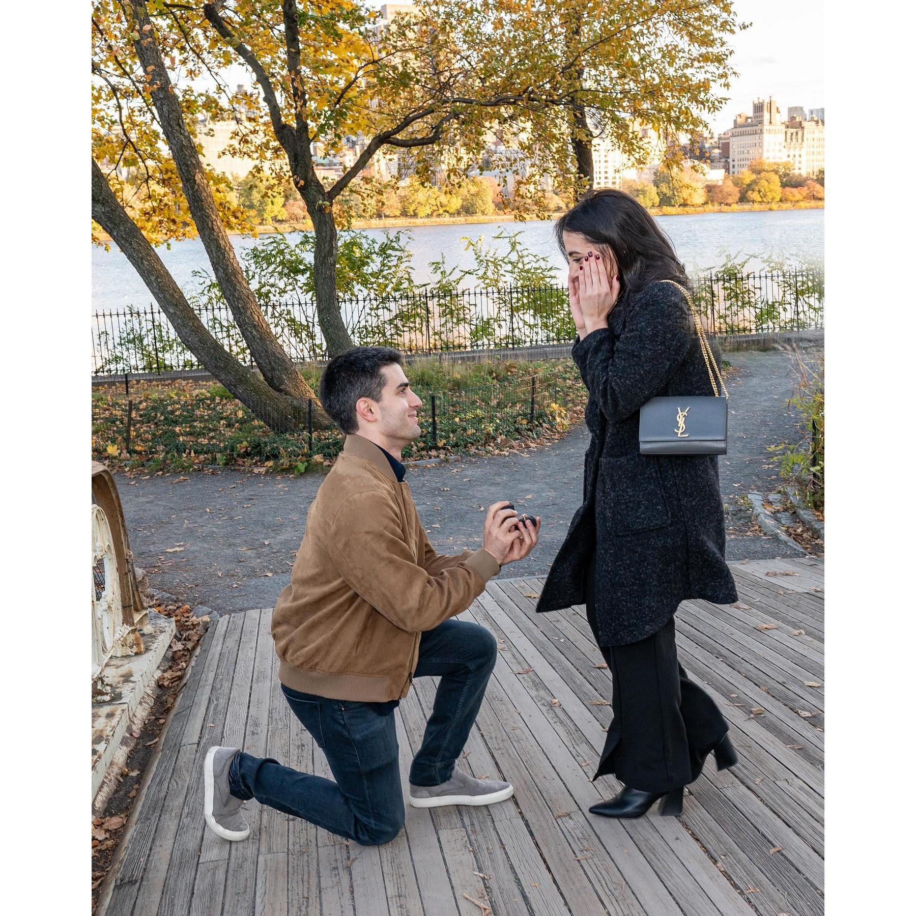 11/11/23 we had an "extra" special walk through Central Park